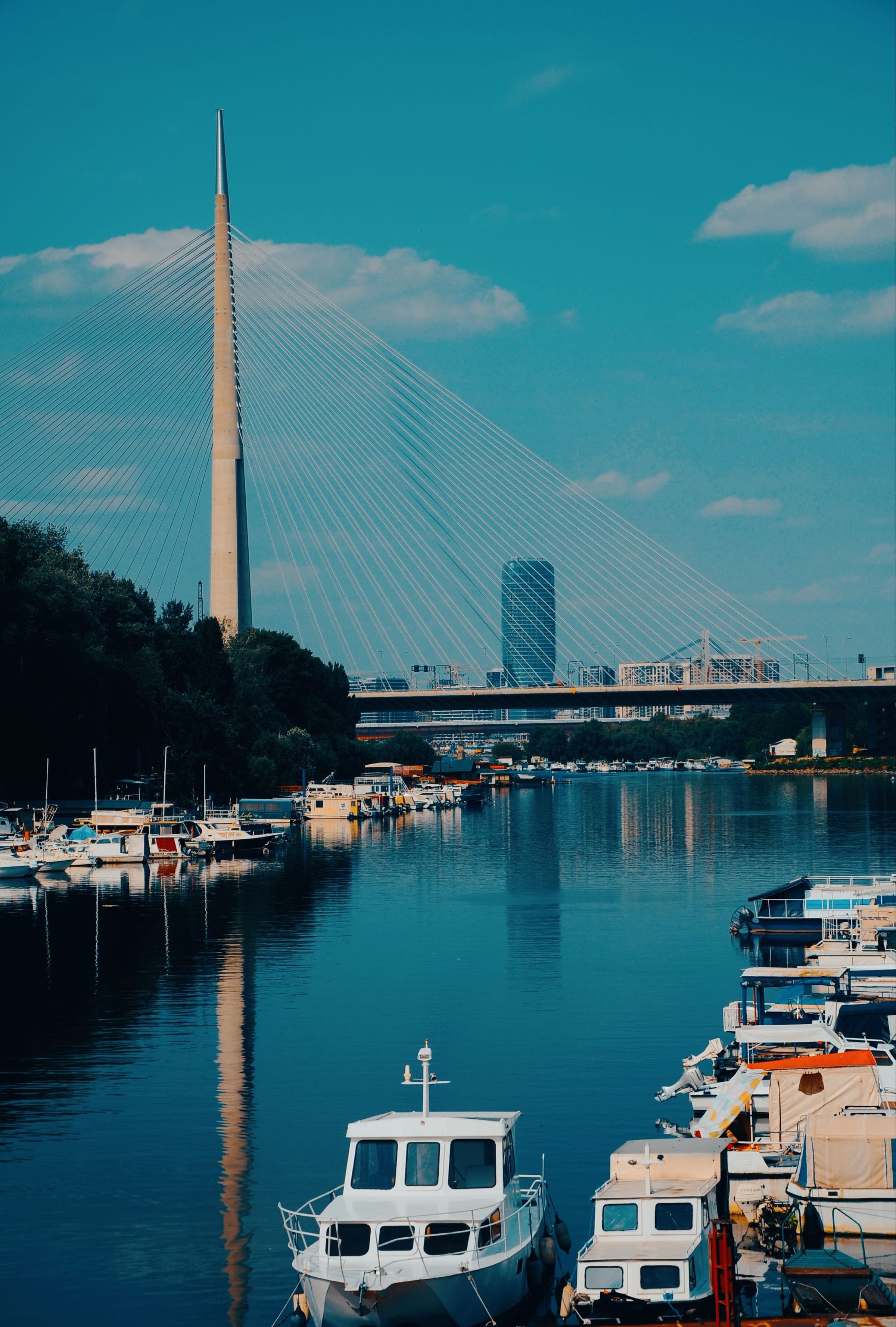 Ada Bridge above boats moored on the Sava, Belgrade